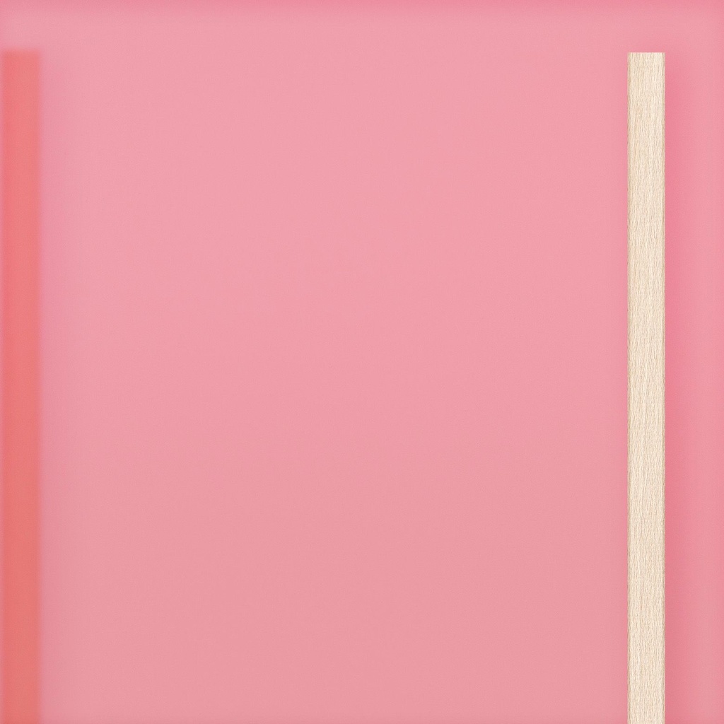 Large door Blush Pink Translucent Acrylic