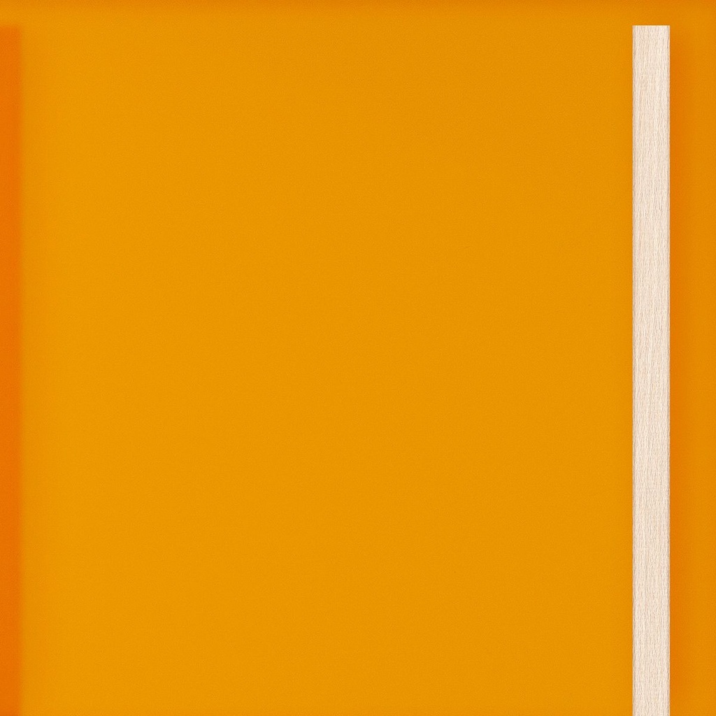 Large door Orange Translucent Acrylic