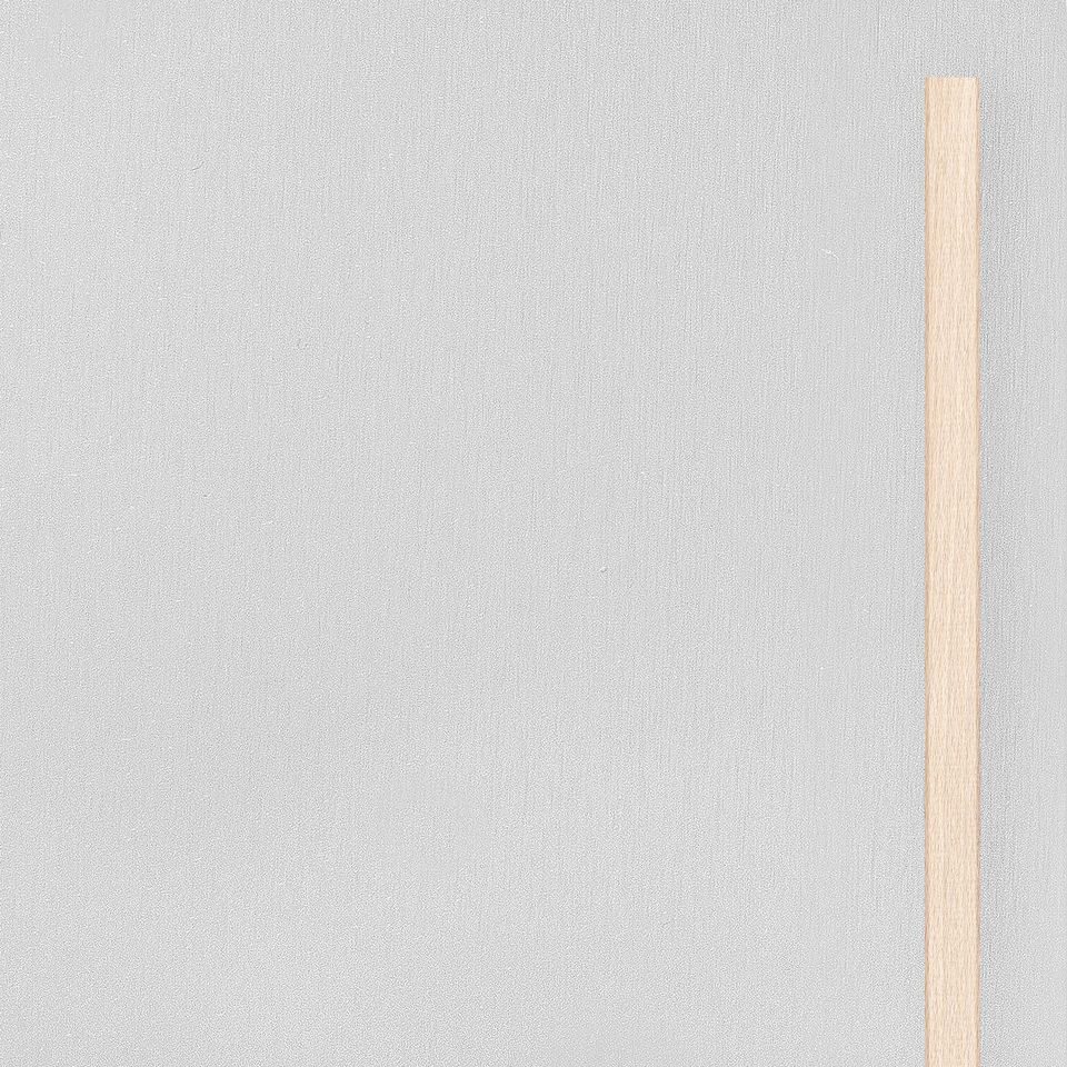 Grote deur in Aluminium