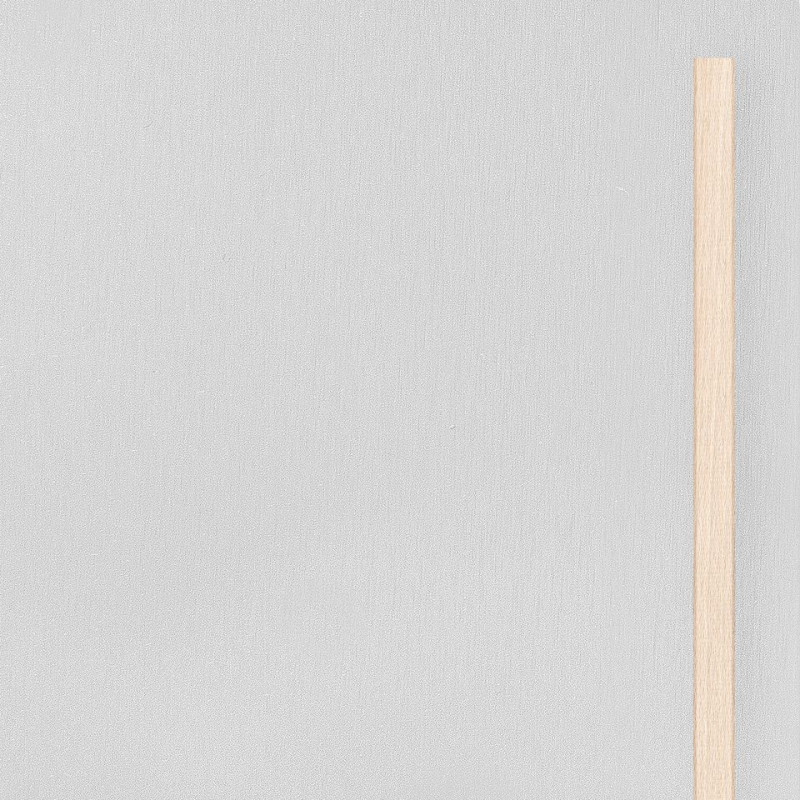 Large door Aluminium