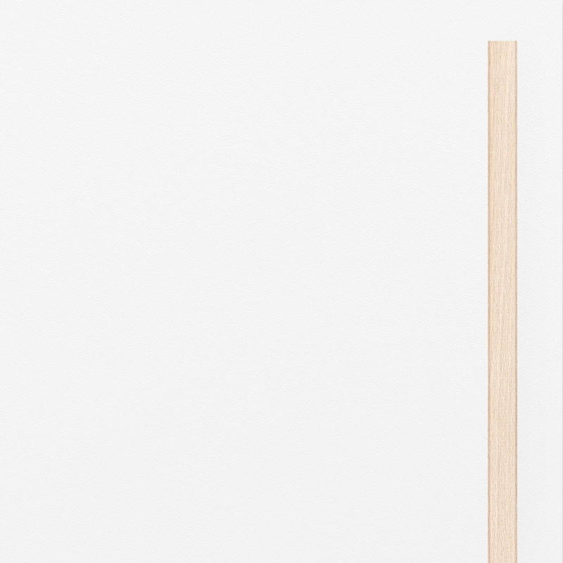 Large door MDF White