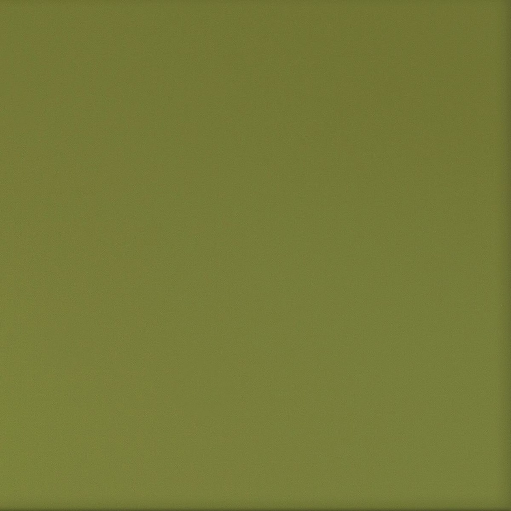 Dos en acrylique translucide Olive