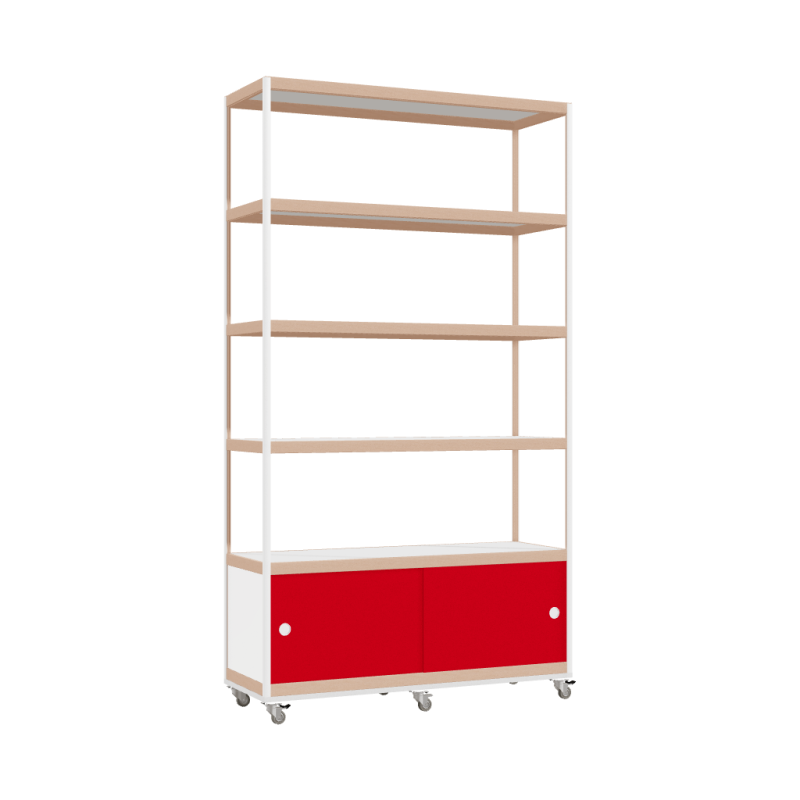 Cabinet (218x120x42 cm)