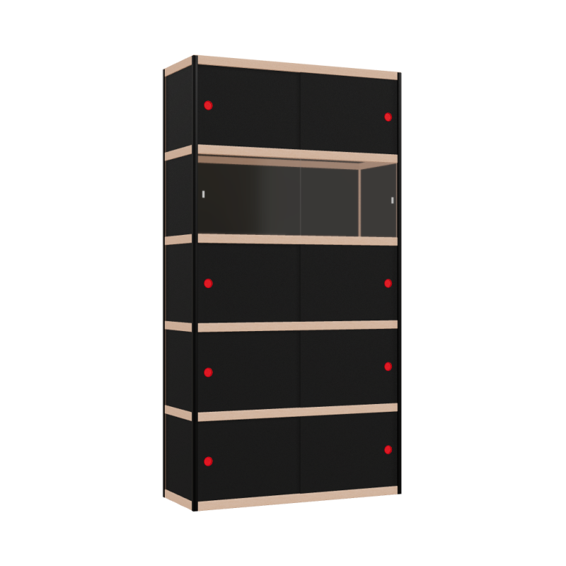 Cabinet (209x110x42 cm)