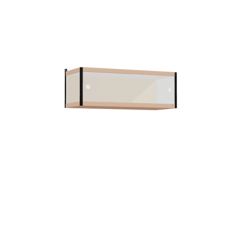 Zwevende kast (35x100x42 cm)