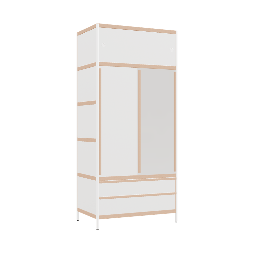 Wardrobe (220x100x62 cm)
