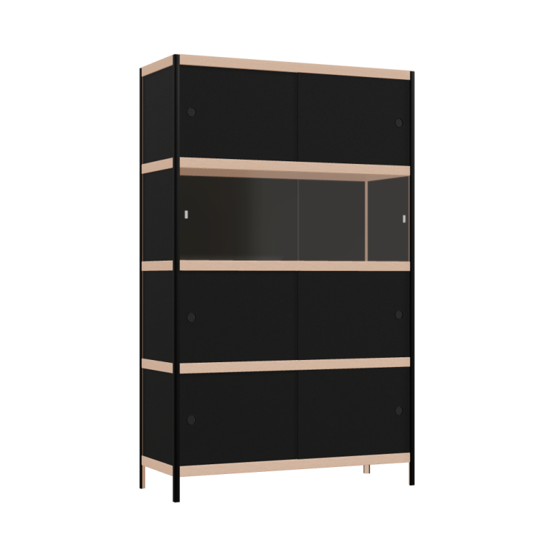 Cabinet (178x110x42 cm)