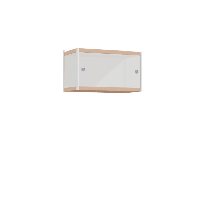 Meuble suspendu (45x80x42 cm)