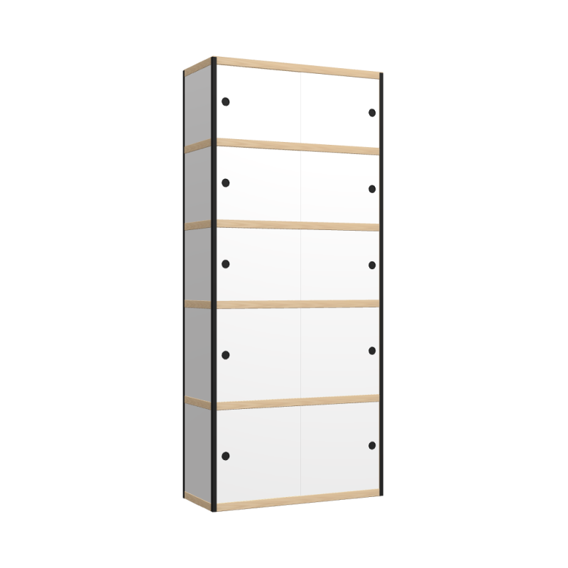 Kast (229x100x42 cm)