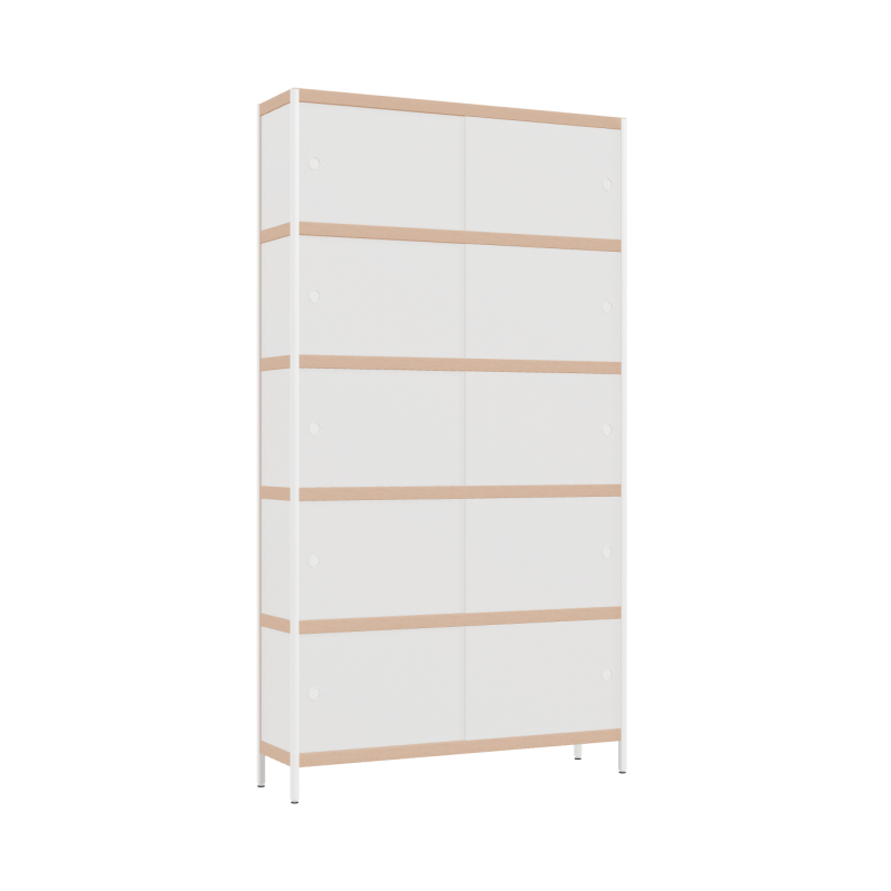 Cabinet (220x120x32 cm)
