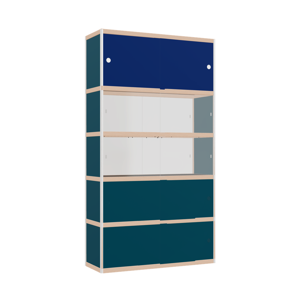 Vitrine (219x120x42 cm)