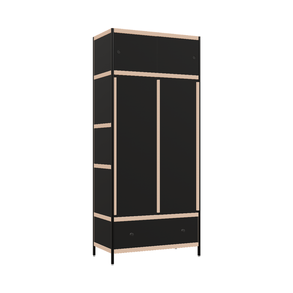 Kleerkast (230x100x52 cm)