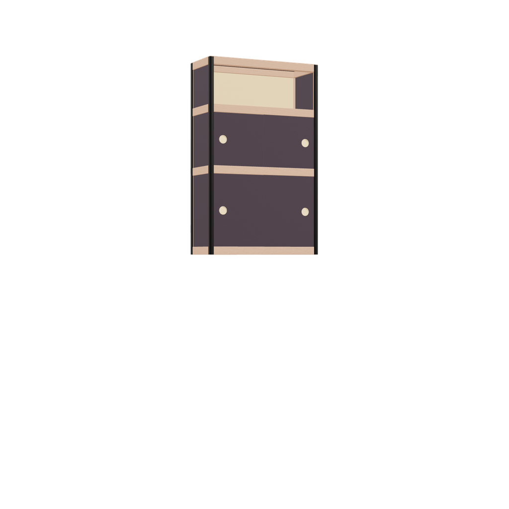 Zwevende kast (100x62x25 cm)