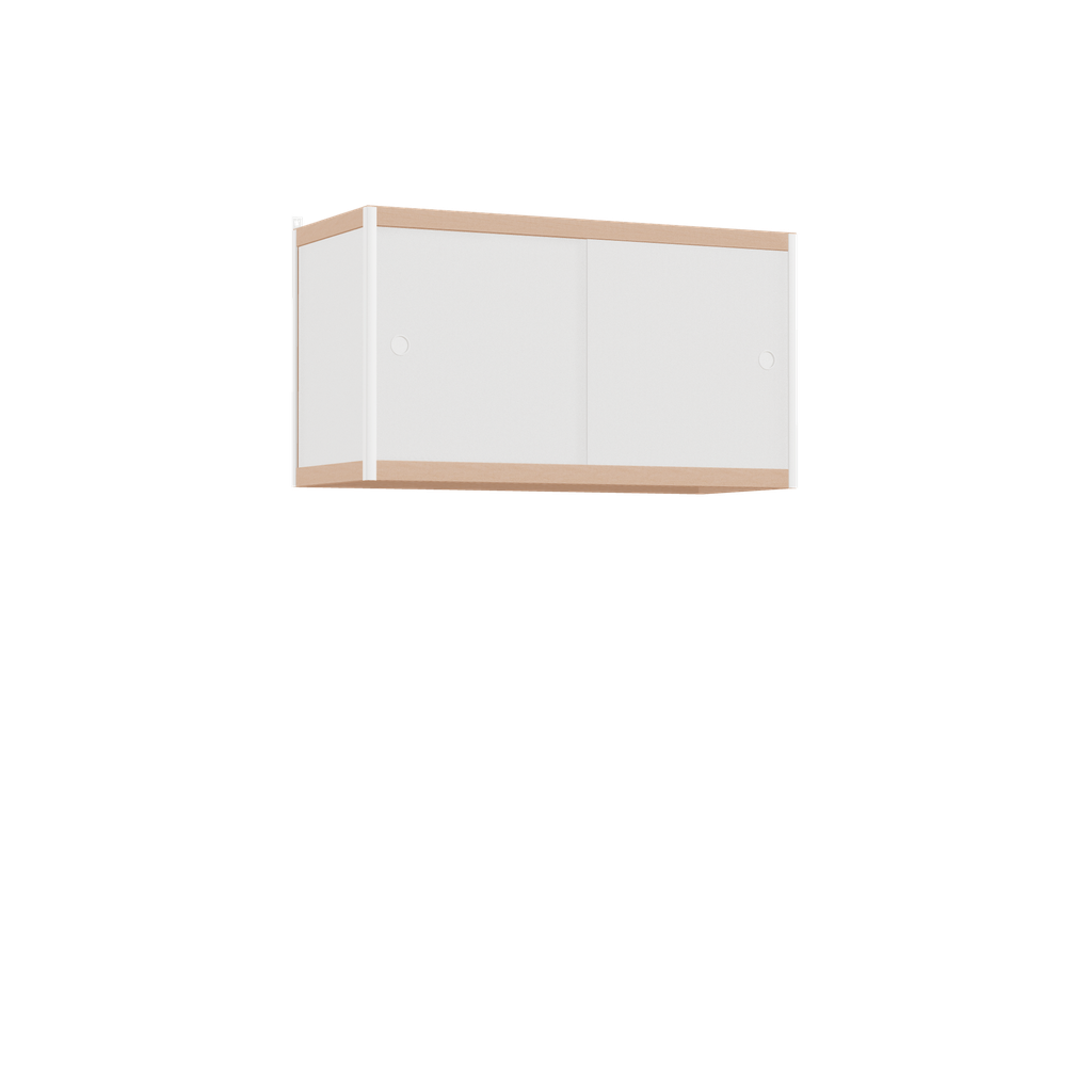 Zwevende kast (55x100x42 cm)