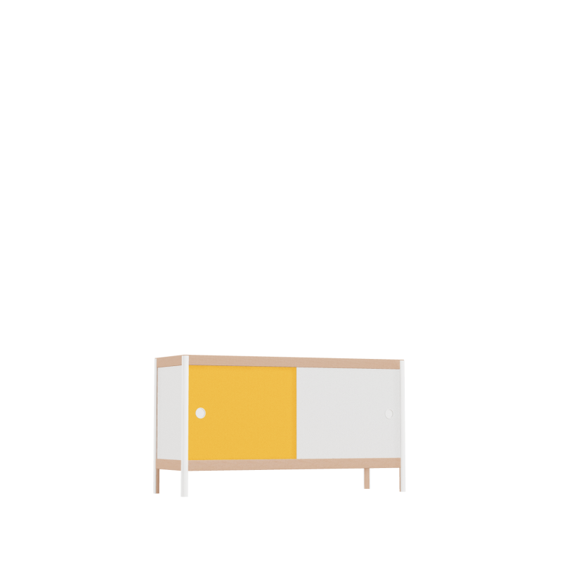 Meuble bas (55x100x32 cm)