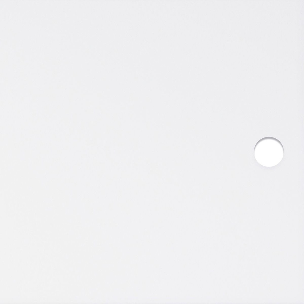 Polar translucent acrylic  door