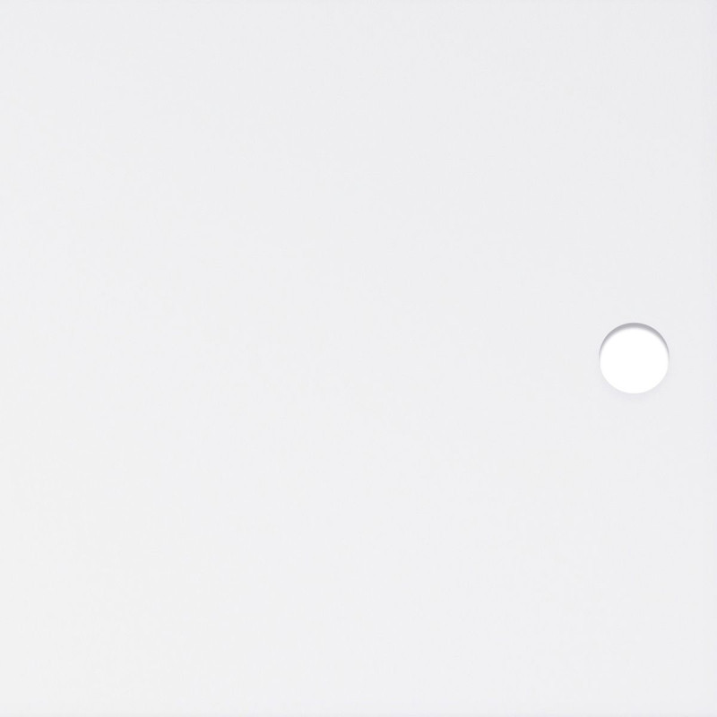 Polar translucent acrylic  door