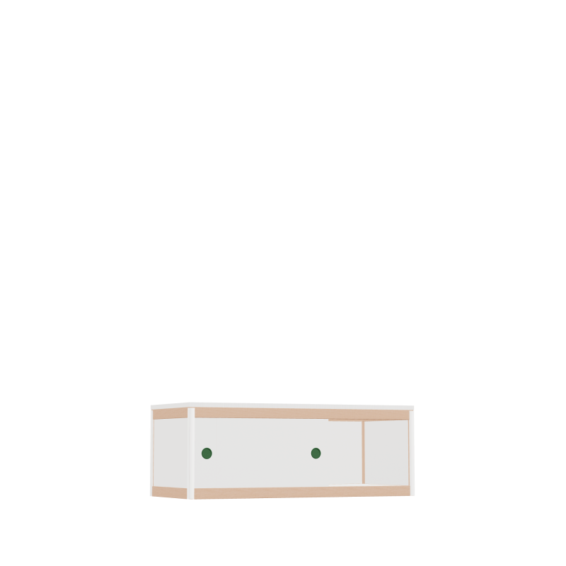 Low cabinet (36.8x100x42 cm)