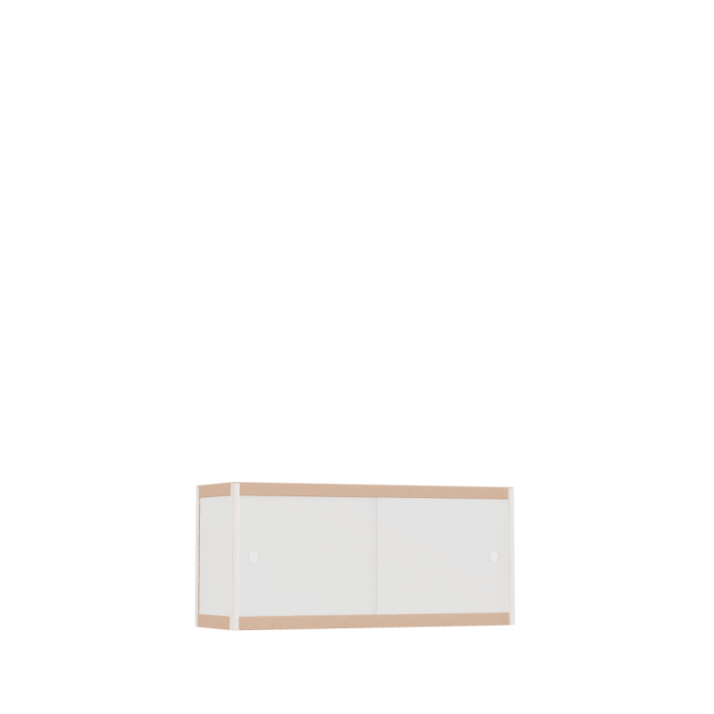 Meuble bas (45x100x32 cm)