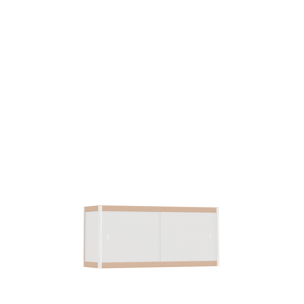 Meuble bas (45x100x32 cm)