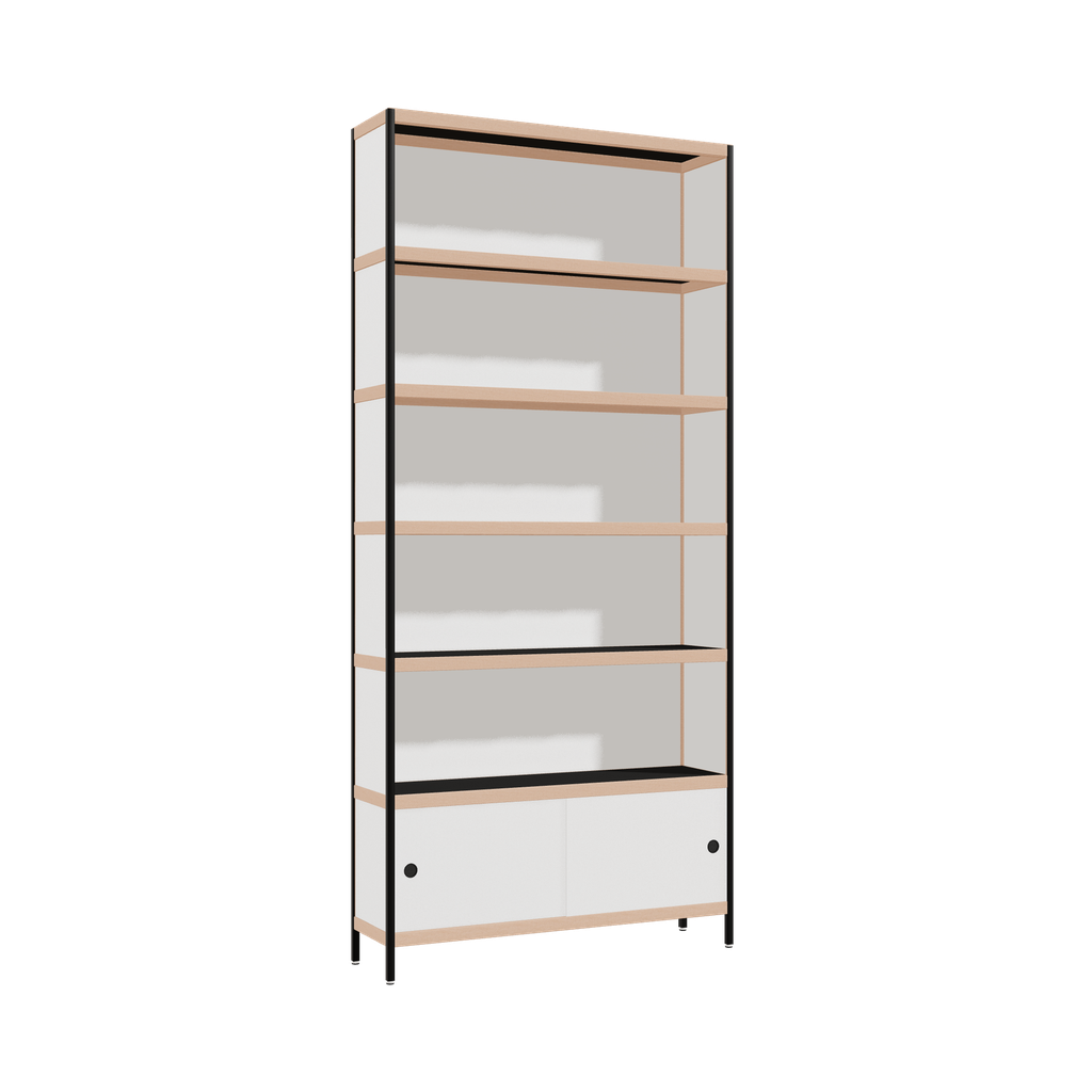 Cabinet (261x120x32 cm)