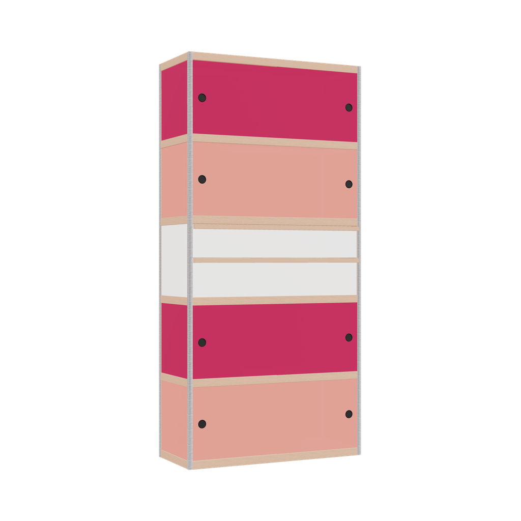 Cabinet (209x100x42 cm)