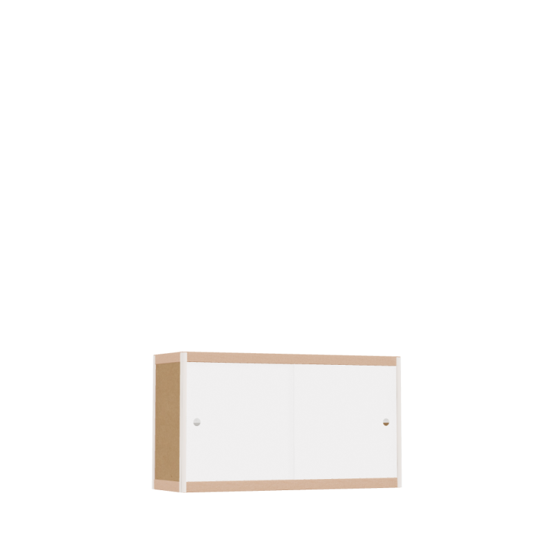 Meuble bas (55x100x32 cm)