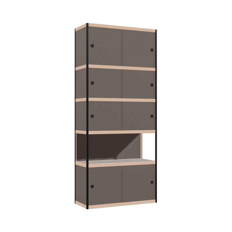 Kast (229x100x42 cm)