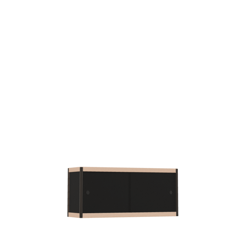 Meuble bas (45x100x32 cm)