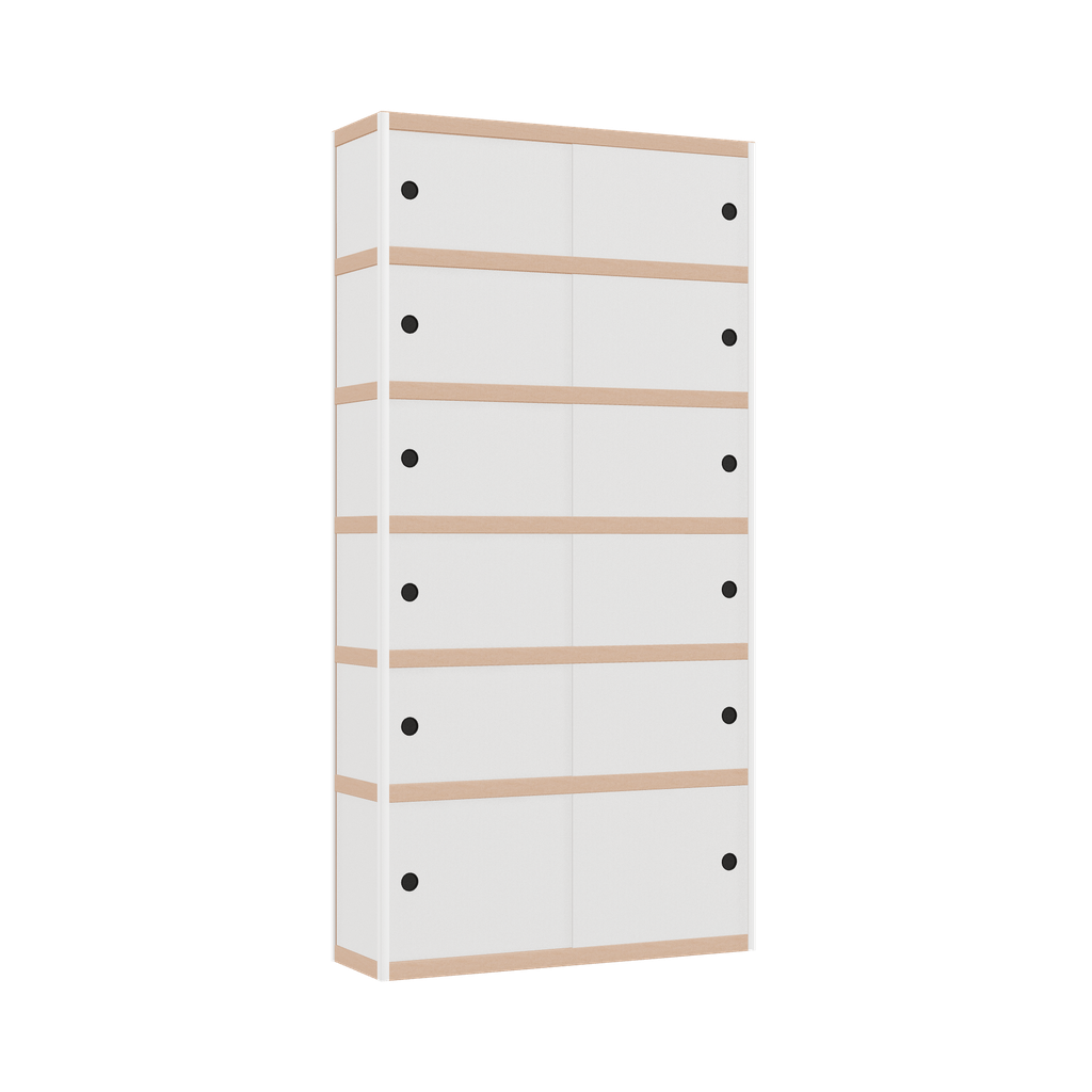 Kast (200x100x32 cm)