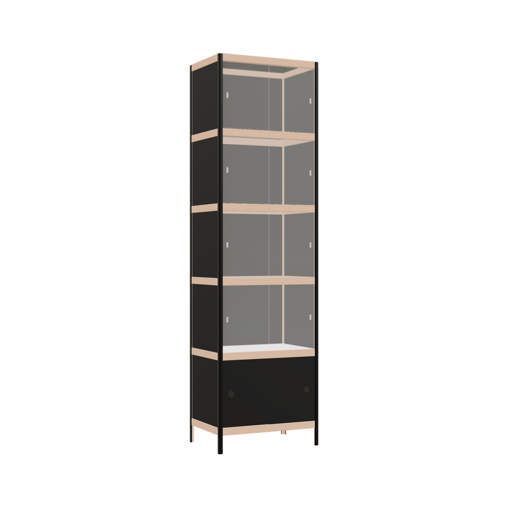 Display cabinet (219x62x42 cm)