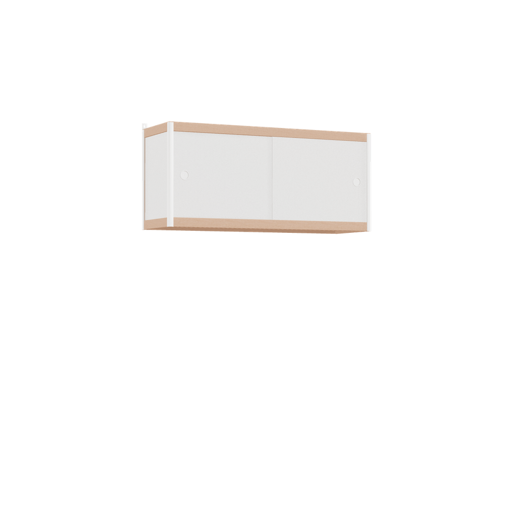 Meuble suspendu (45x100x32 cm)