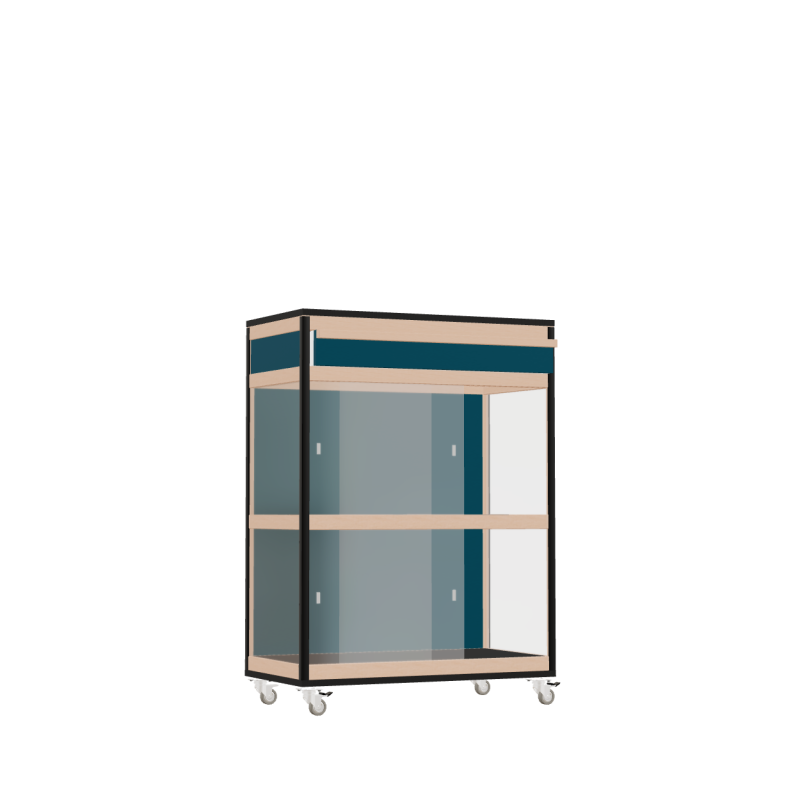 Vitrine (110.8x80x42 cm)