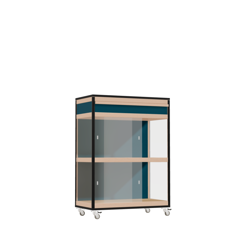 Vitrine (110.8x80x42 cm)