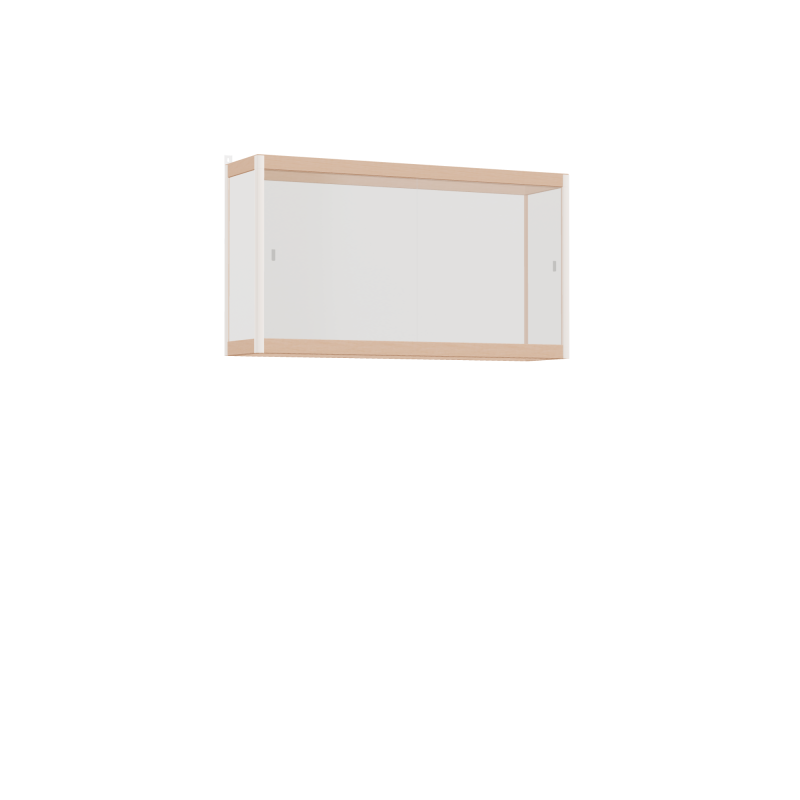 Meuble suspendu (55x100x25 cm)