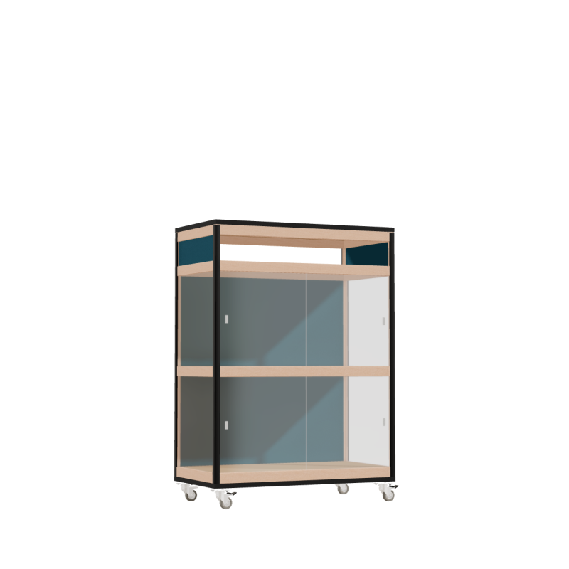 Vitrine (110.8x80x42 cm)