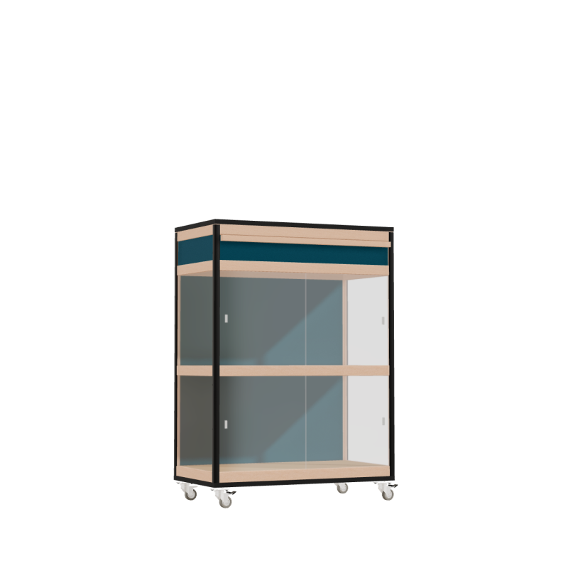 Vitrine (110.8x80x42 cm)
