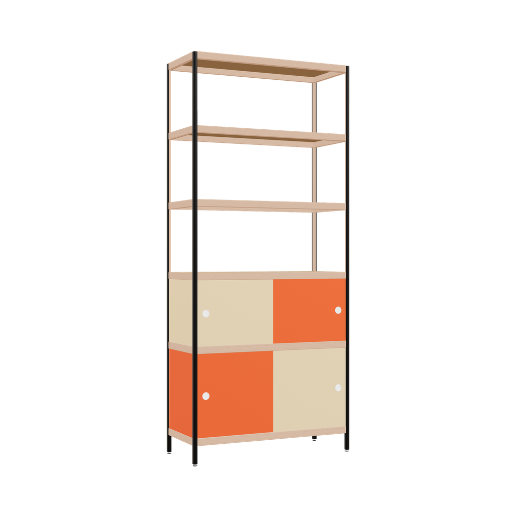 Kast (230x100x42 cm)