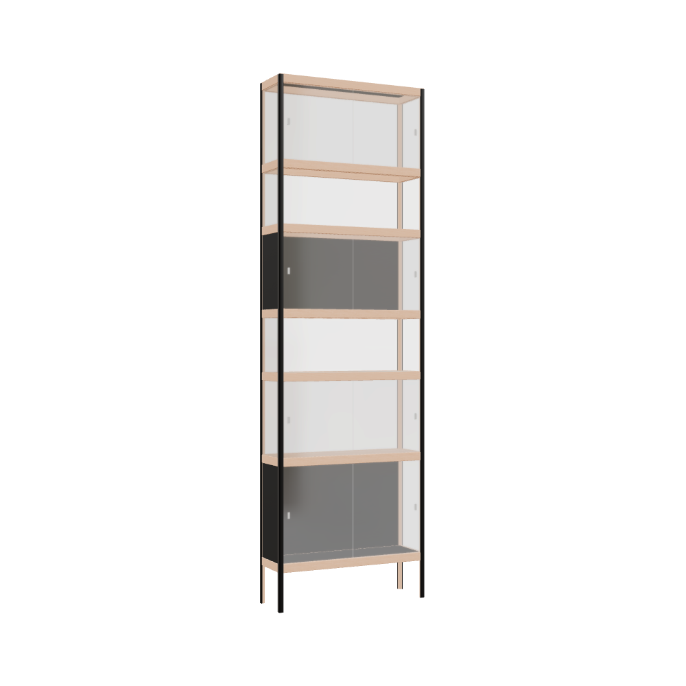 Display cabinet (259x80x25 cm)