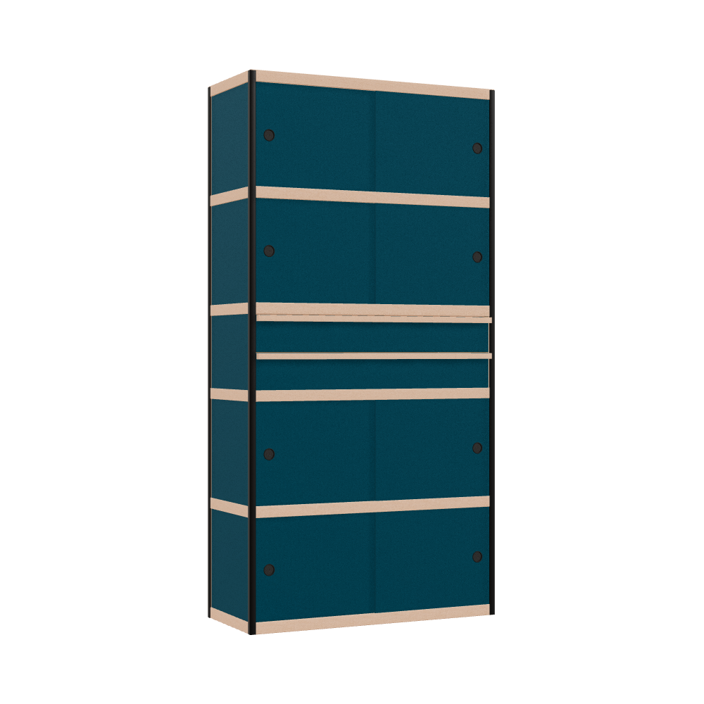 Kast (199x100x42 cm)