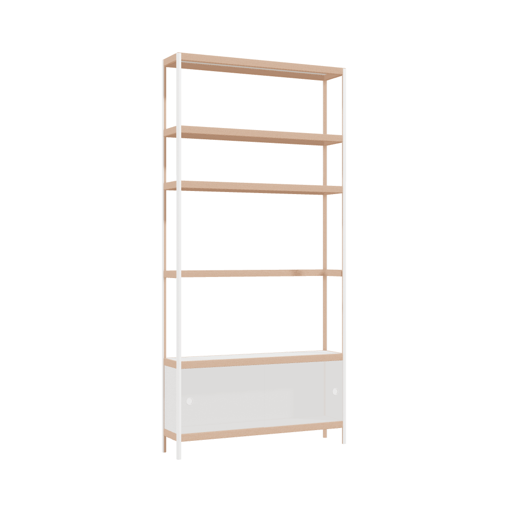 Cabinet (229x110x25 cm)