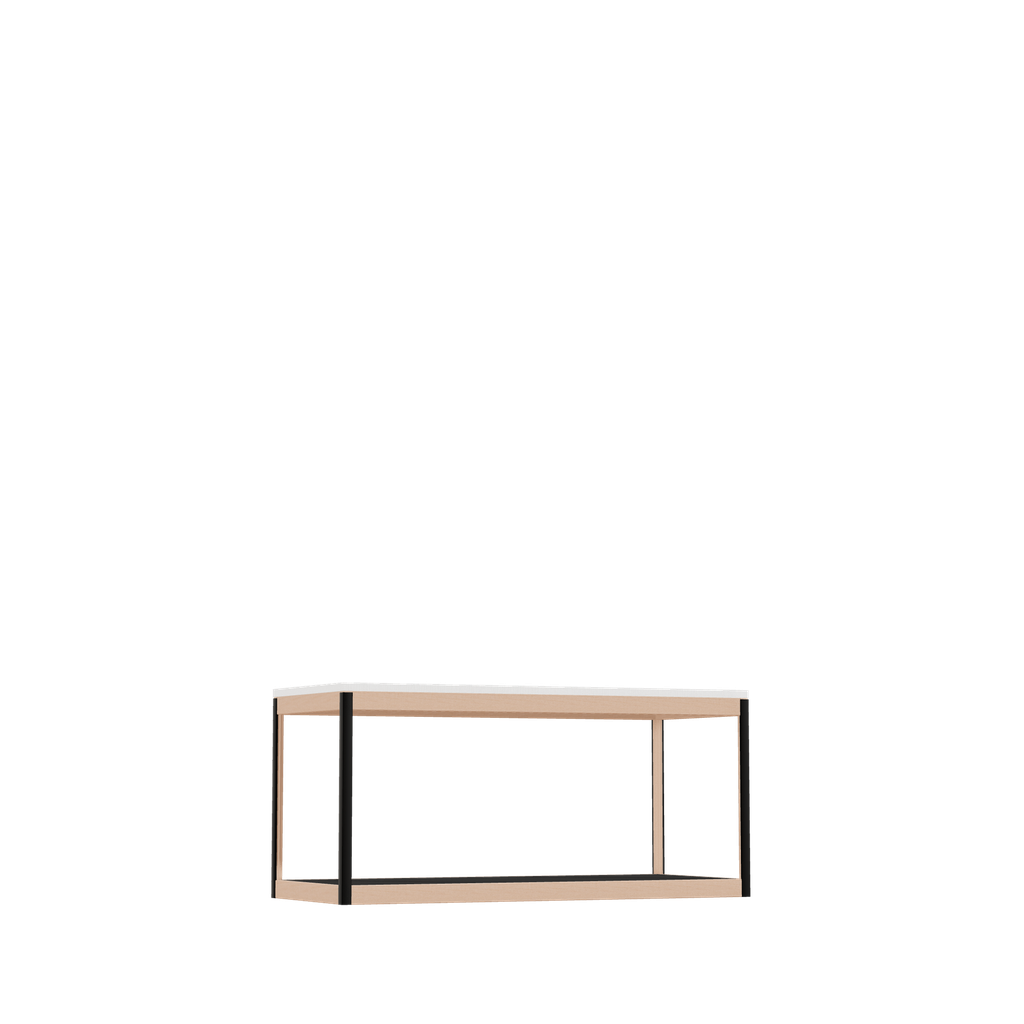 Meuble bas (46.8x100x42 cm)