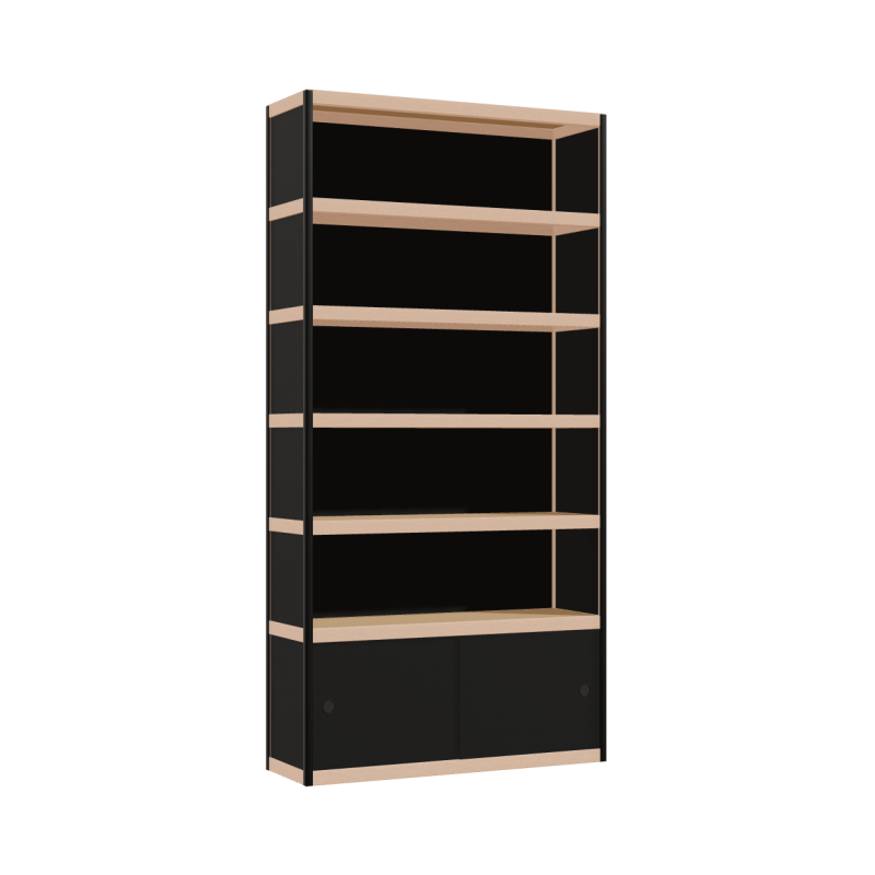 Cabinet (200x100x32 cm)