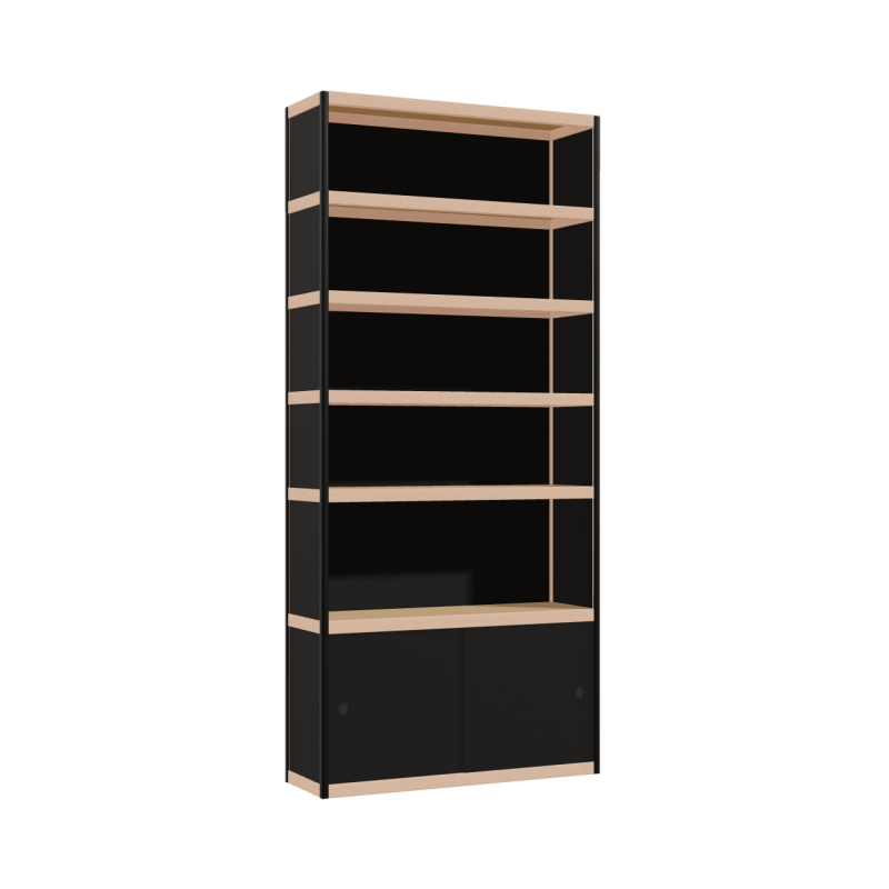 Kast (220x100x32 cm)