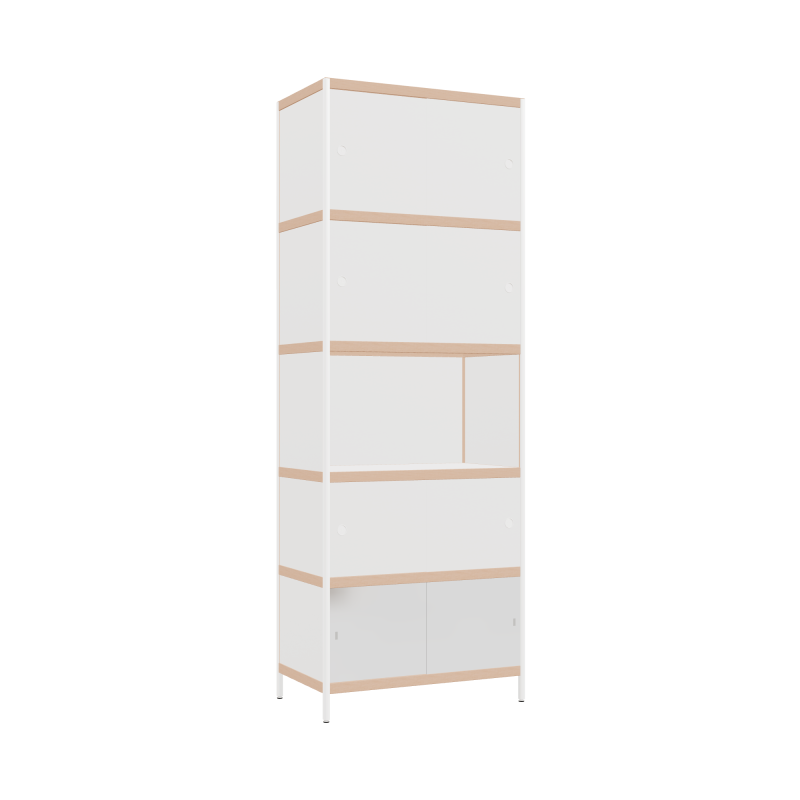 Cabinet (250x90x52 cm)