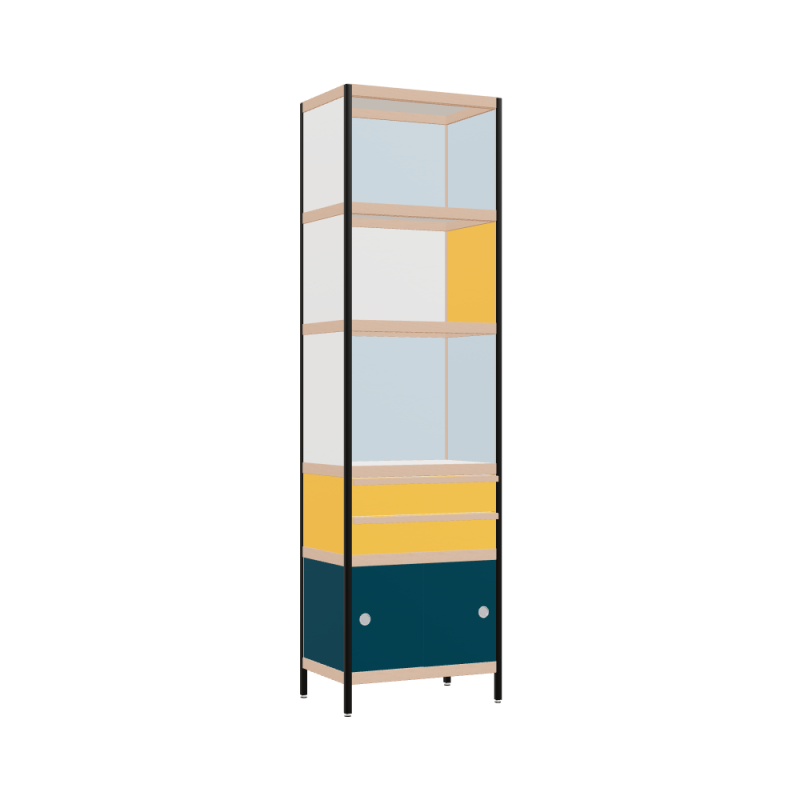 Cabinet (220x62x42 cm)
