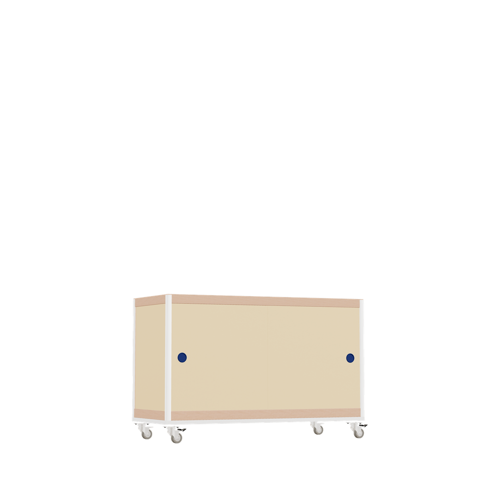 Meuble bas (64x100x42 cm)