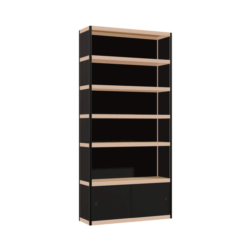 Cabinet (210x100x32 cm)