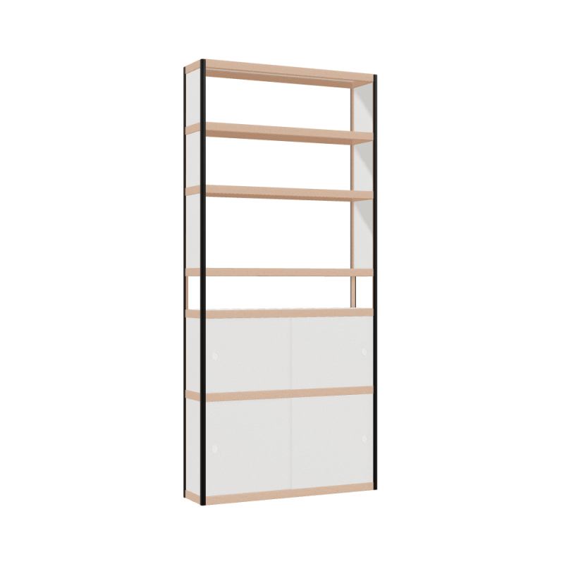 Cabinet (220x100x25 cm)