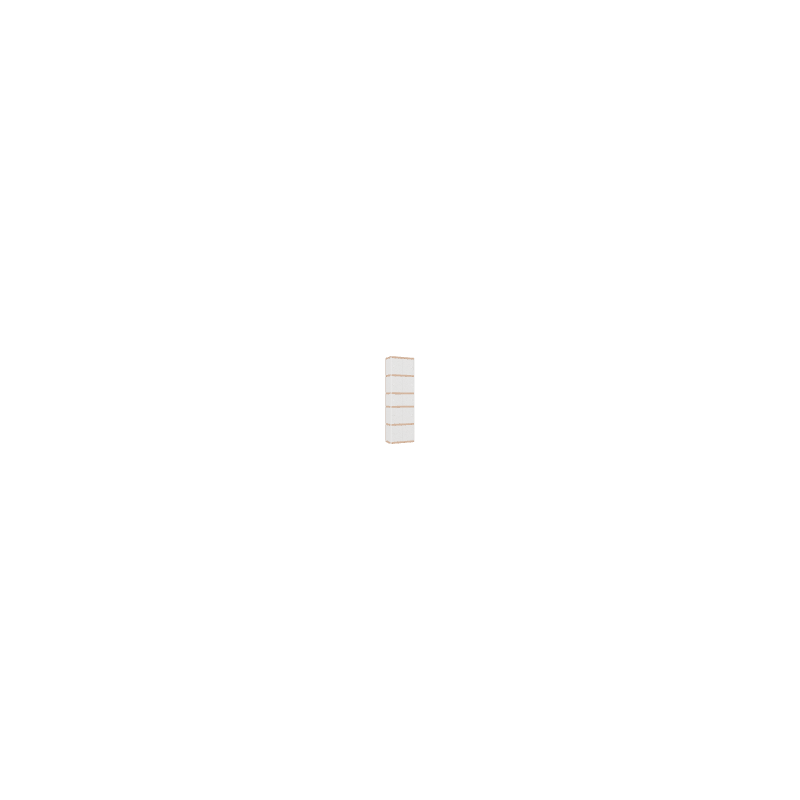 Cabinet (199x62x32 cm)